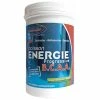 Fenioux Multi-Sports FENIOUX Multisports Boisson énergie Progressive BCAA Citron Vert / Menthe - 600g