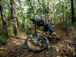 ROCKSHOX Fourche Zeb Ultimate 29'' Charger 3 RC2 Déport 44mm 170mm 2023 -Composants Vtt Soldes 2023 rockshox fourche zeb ultimate 29 charger 3 rc2 deport 44mm 170mm 2023 4